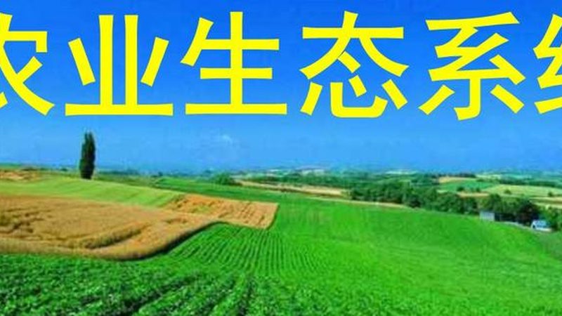 农业种植补贴政策：解读与实操要点**