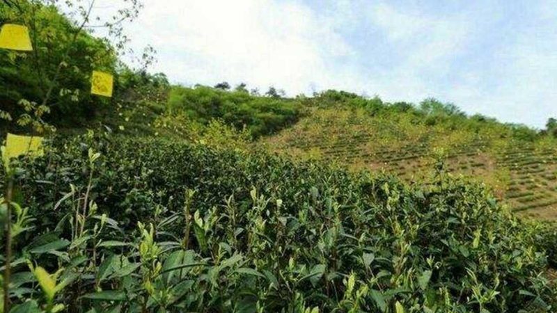 农业产业园运营管理，如何找到合适的合作伙伴？**
