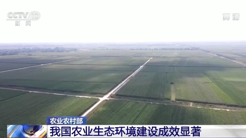 智能灌溉控制器：如何选择适合的型号与参数