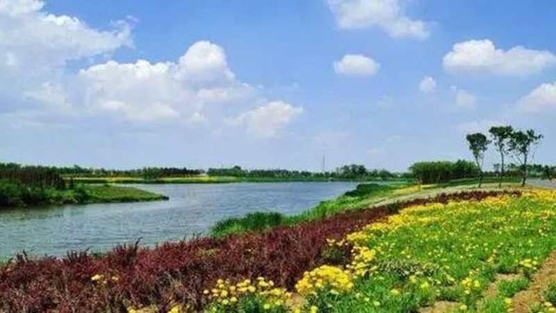 智慧农业种植系统：如何选择最适合你的解决方案