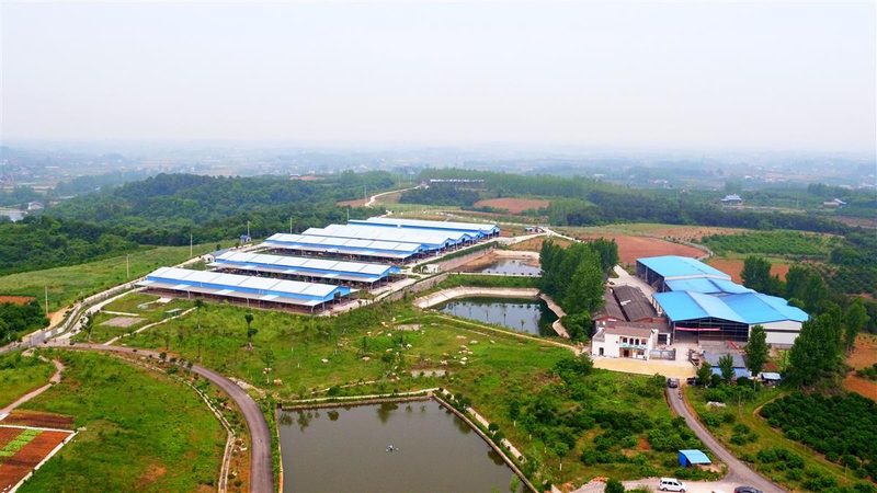 反季节水果，农业新蓝海？市场前景如何解析**