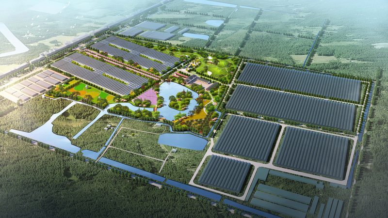 智慧农业种植系统：引领未来农业发展的十大品牌解析