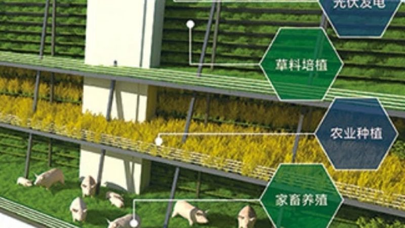 合作社注册，这些材料不能少**