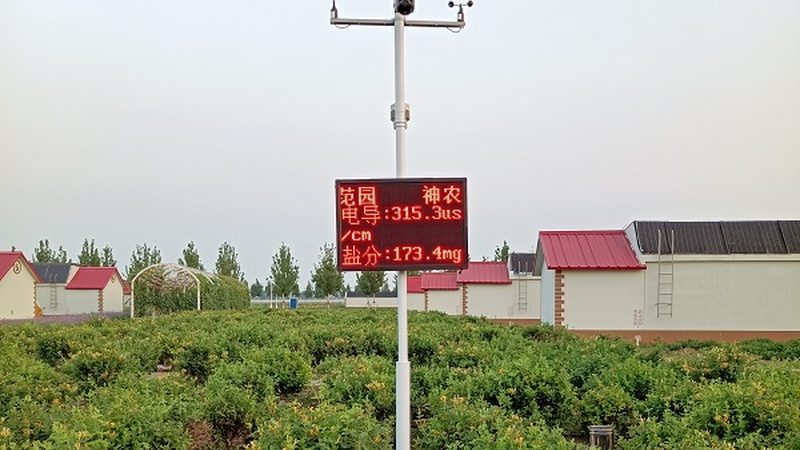 绿色食品认证标志：申请流程与要点解析