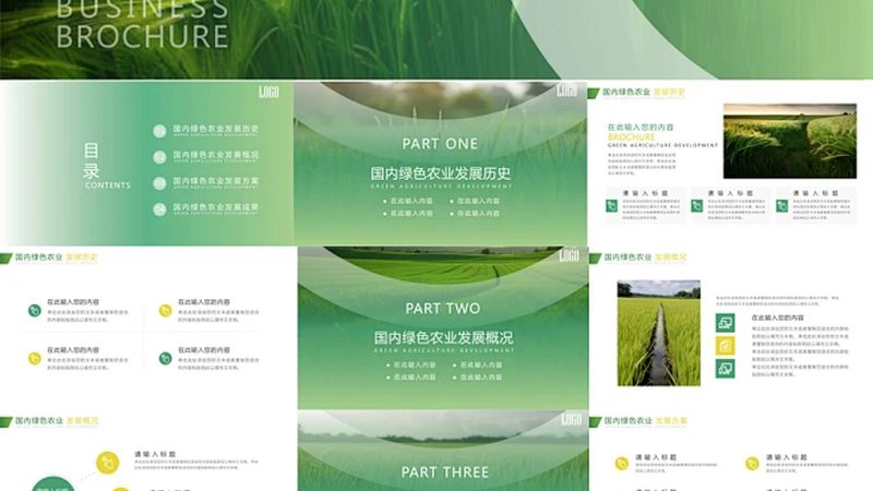 养殖合作社年报：如何编制一份全面、准确的报告